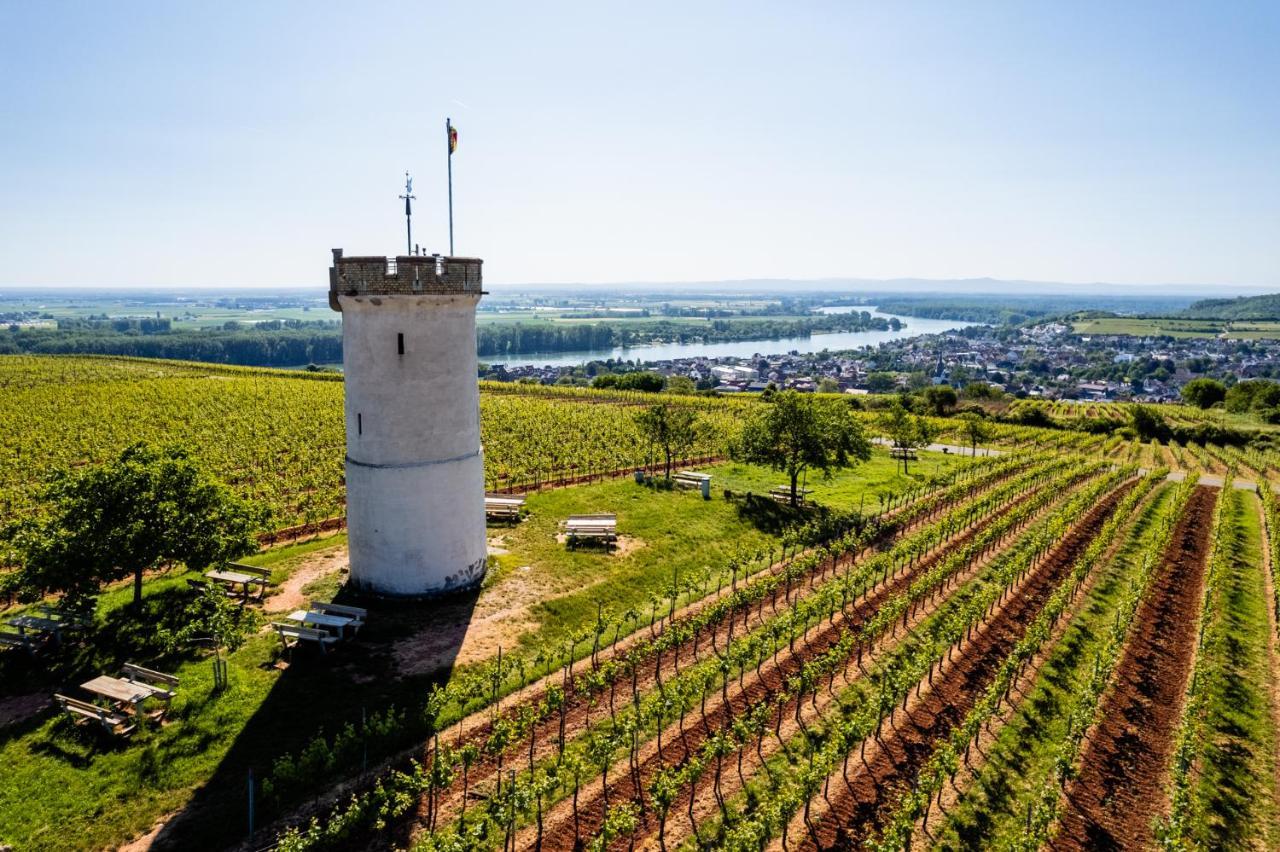 Best Western Wein- Und Parkhotel Nierstein Buitenkant foto